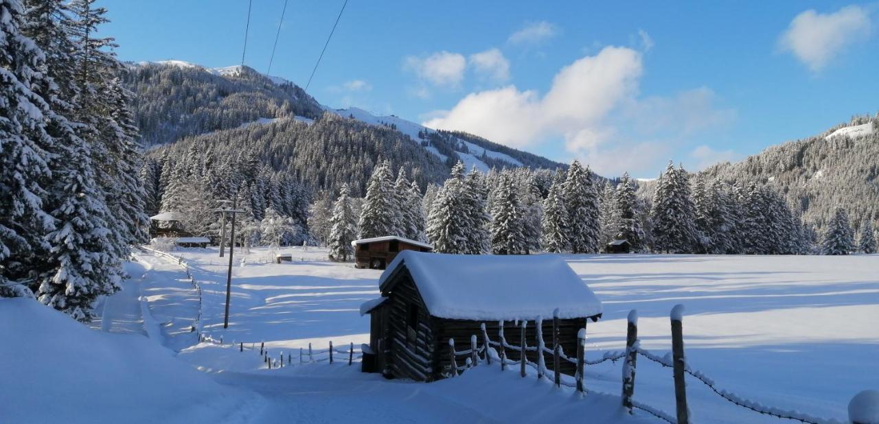Haus Jessica Incl National Park Sommercard Mittersill Exterior photo